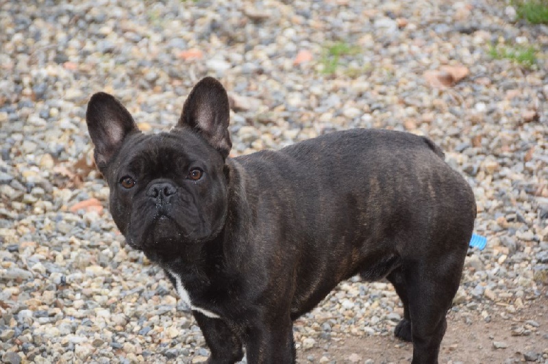 Le maître obiwan des bouilles de la Garonne