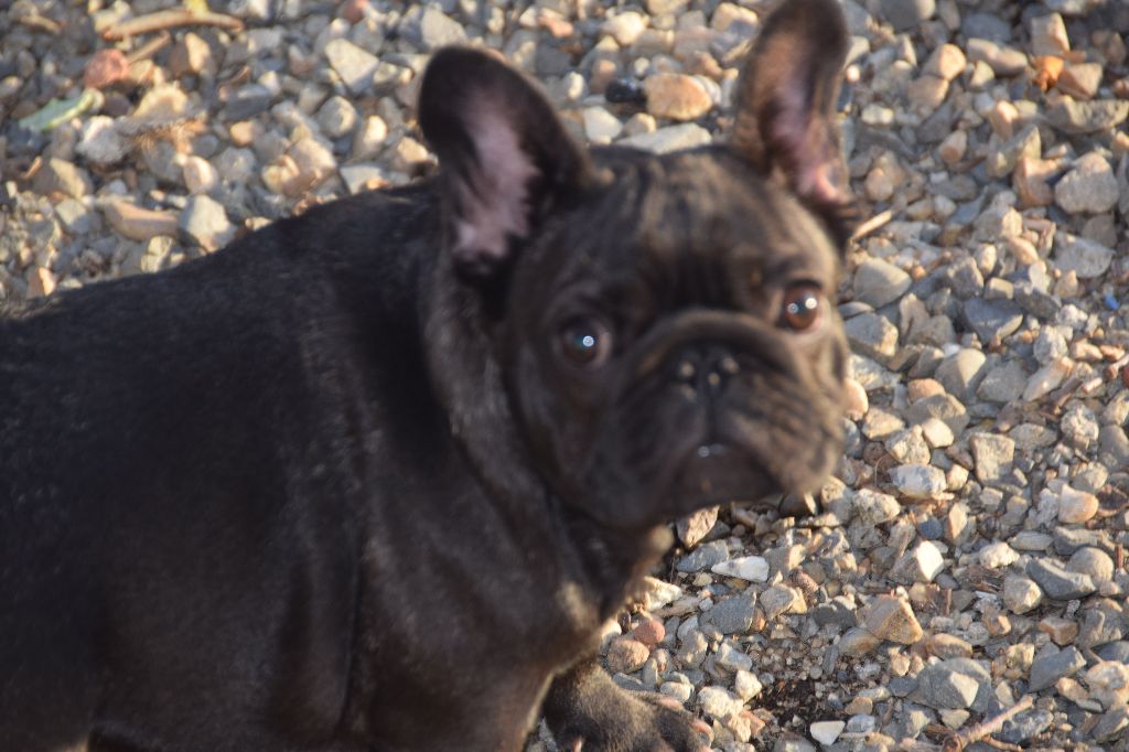 Ma trioscka des bouilles de la Garonne
