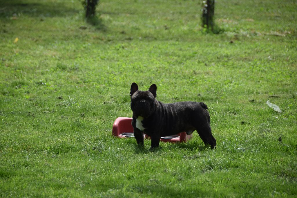 Rendez vous fambuena didaho des bouilles de la Garonne