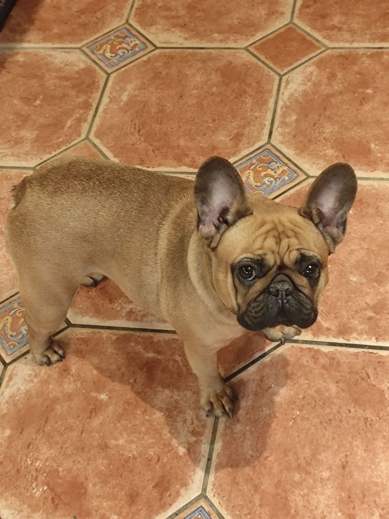 Tya la fée des bouilles de la Garonne