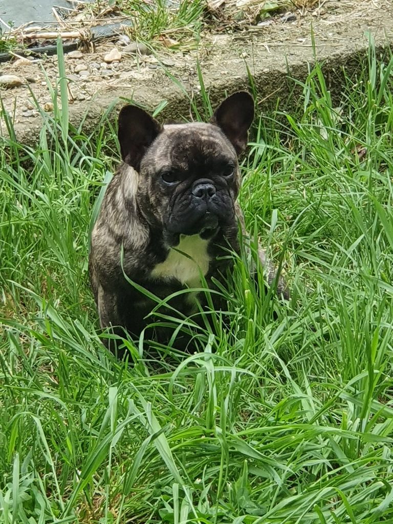 Sophie ma p'tite folie des bouilles de la Garonne